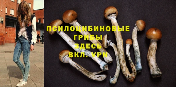 ешки Дмитриев