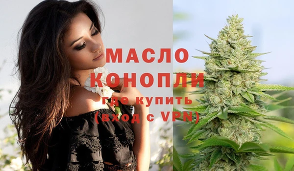 ешки Дмитриев