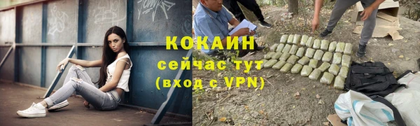ешки Дмитриев