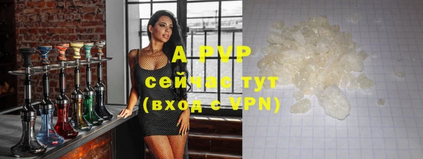 ешки Дмитриев