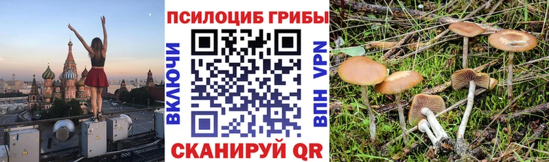 Псилоцибиновые грибы прущие грибы  KRAKEN ONION  Заволжье 