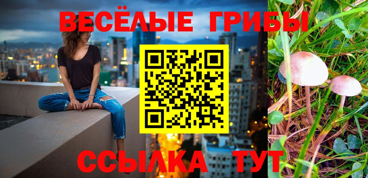 Галлюциногенные грибы Psilocybe Заволжье