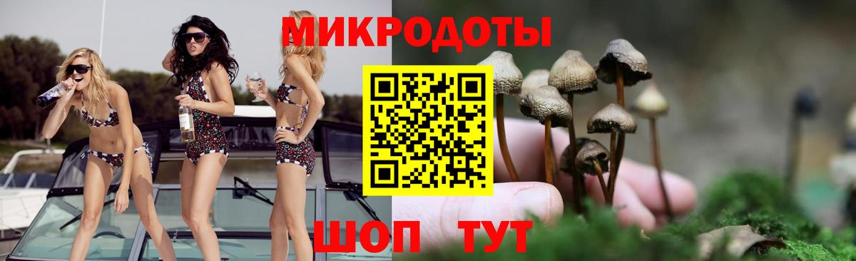 Заволжье  Галлюциногенные грибы прущие грибы  Вход с VPN  Псилоцибиновые грибы MAGIC MUSHROOMS 